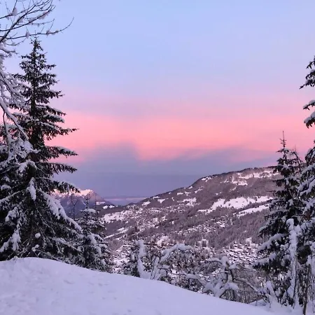Alpina Gardens Boutique In Villars-gryon Gryon